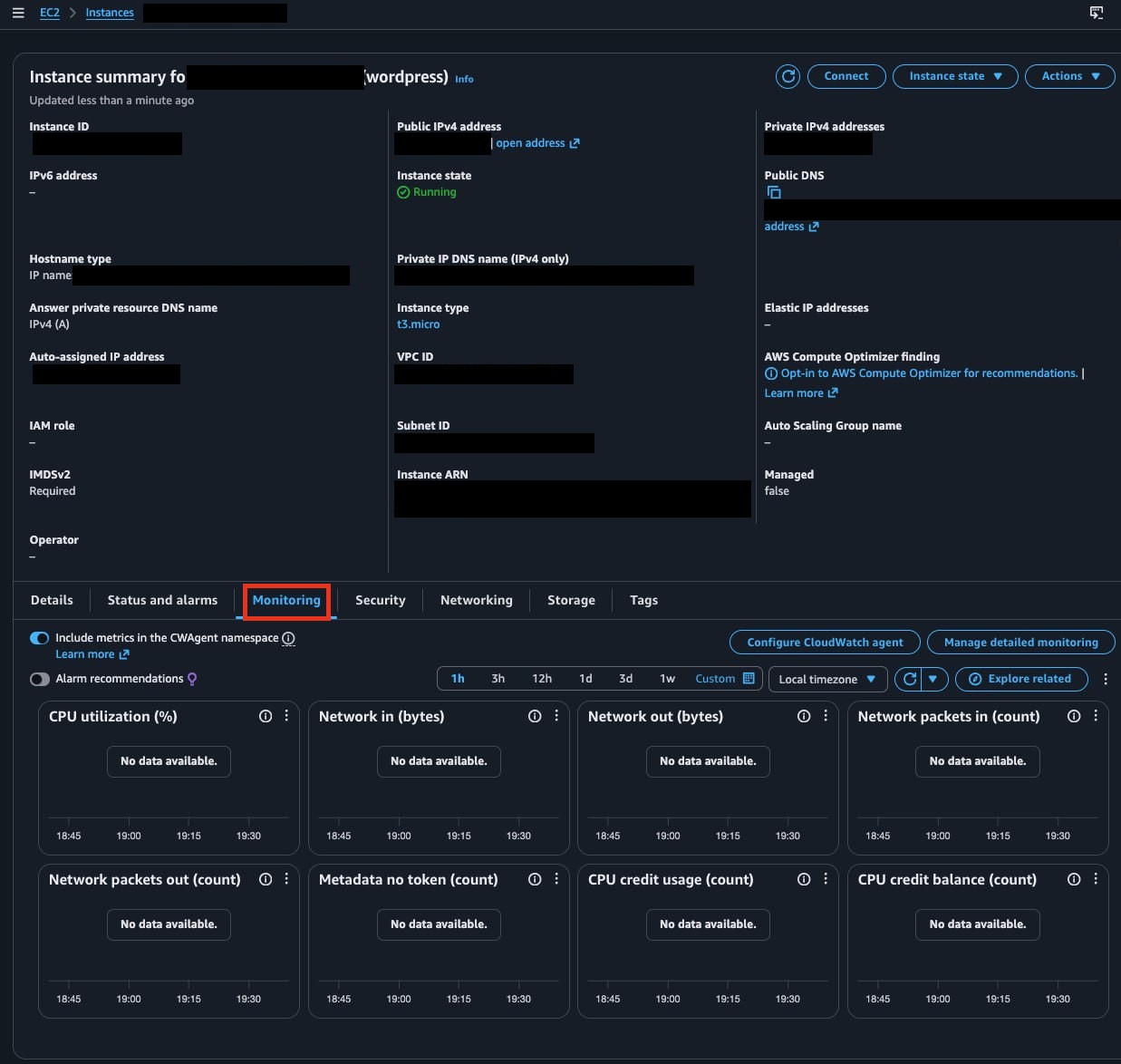 The Monitoring tab at the bottom of the EC2 instance summary page for the 'wordpress' instance — cards for automatically collected metrics like CPU utilization, network in/out, and CPU credits